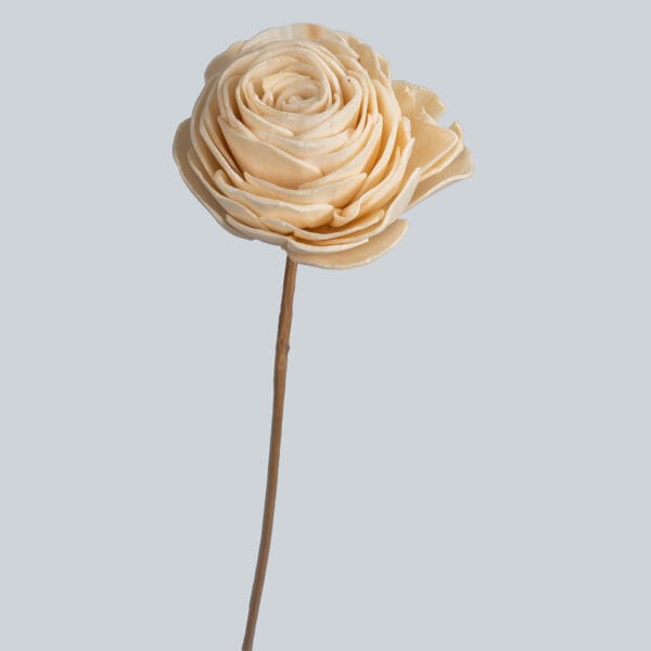 Rose Ivory Handmade Sola Wood Flowers