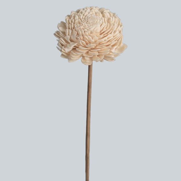 Gardenia Ivory Handmade Sola Wood Flowers