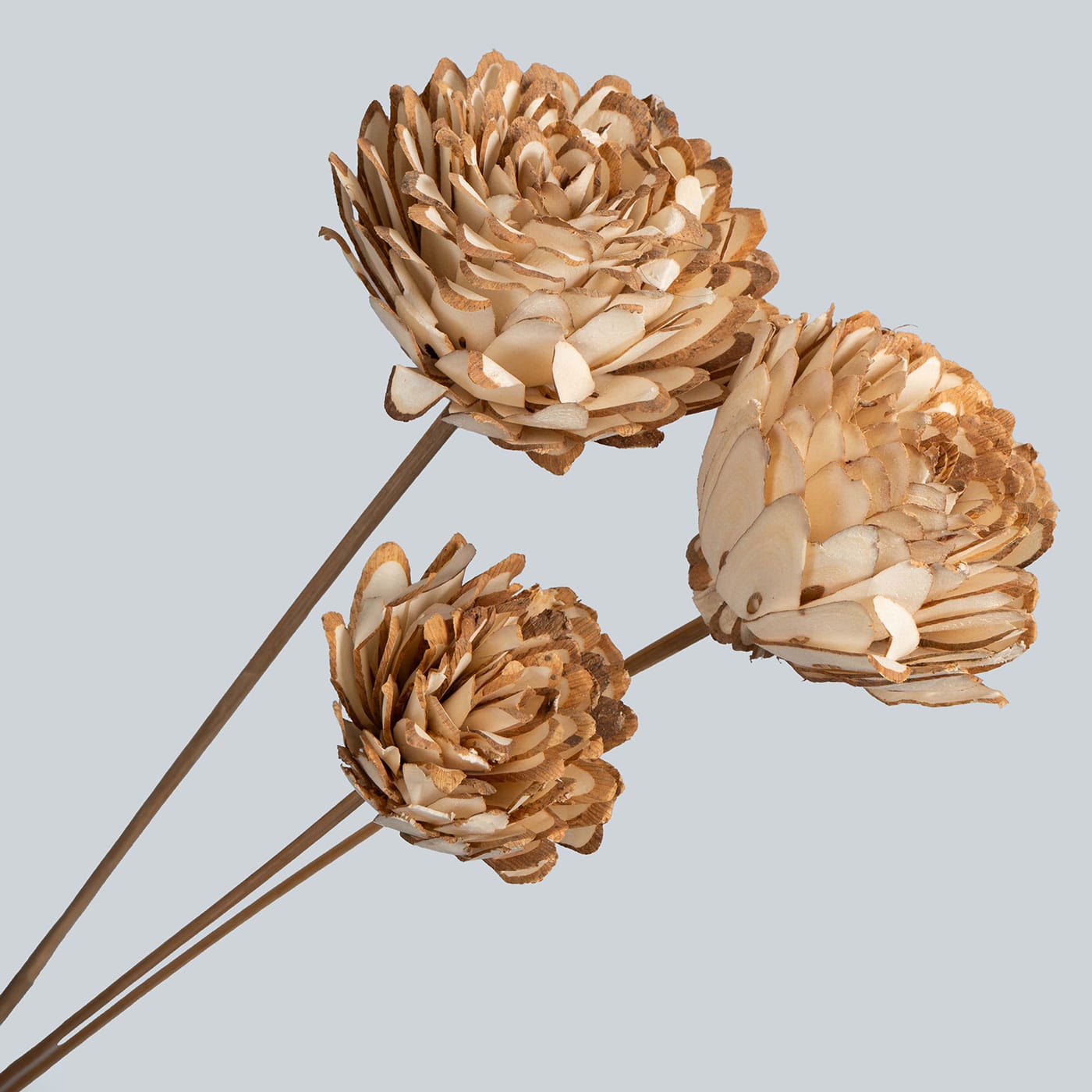 Gardenia Ivory Handmade Sola Wood Flowers - Image 3