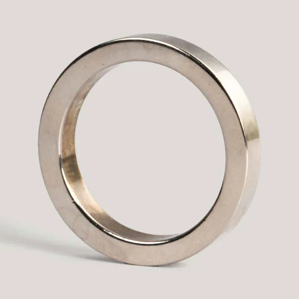 Ryka Silver Metal Napkin Ring (Set Of 4)
